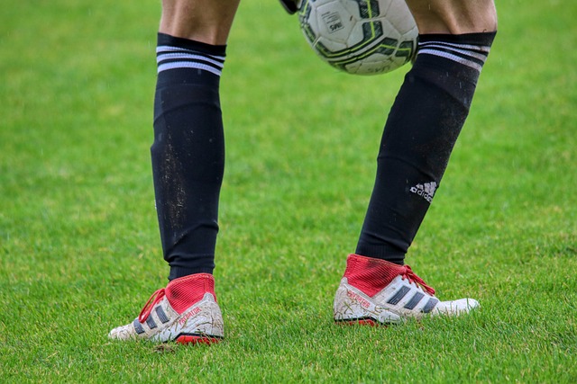 究其原因 究其原因