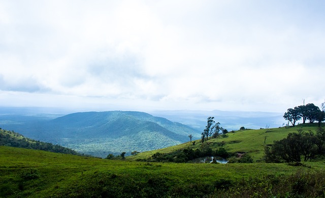 挑战英超冠 挑战英超冠