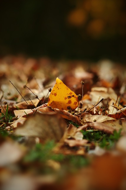 球員的優勢 球員的優勢