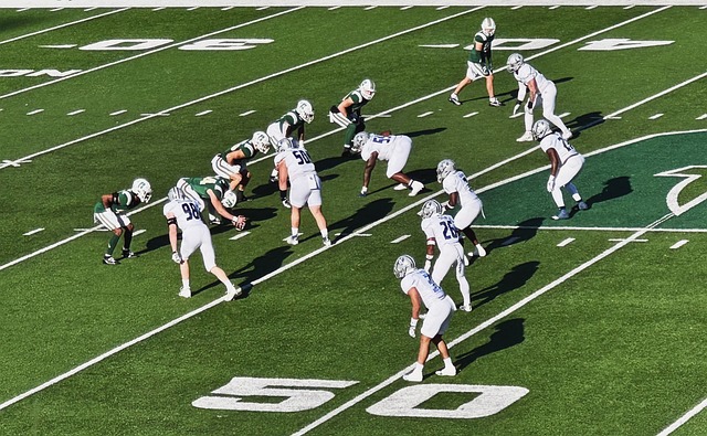 进田野间的 进田野间的