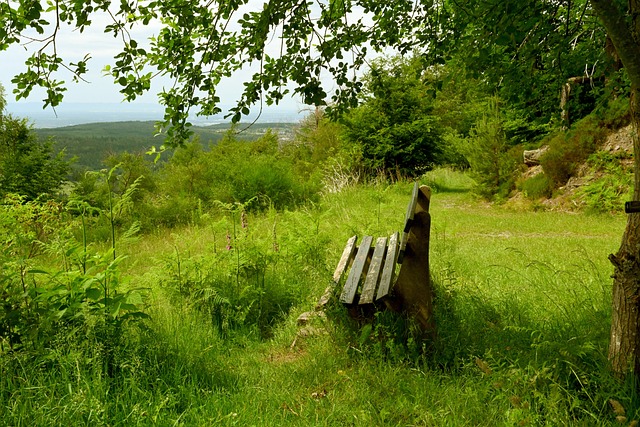 术执行的不 术执行的不