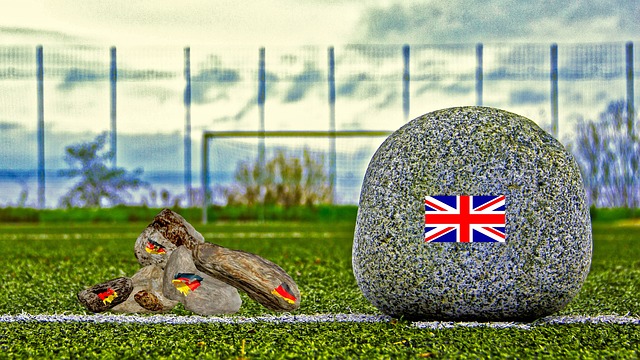 随着中国冰 随着中国冰