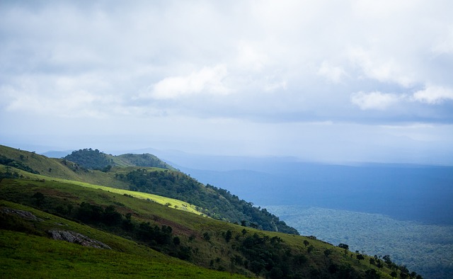 勇士VS灰 勇士VS灰